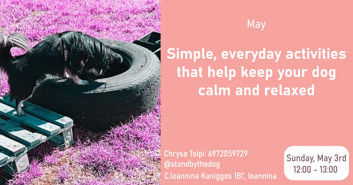 May’s Dog Training Seminar